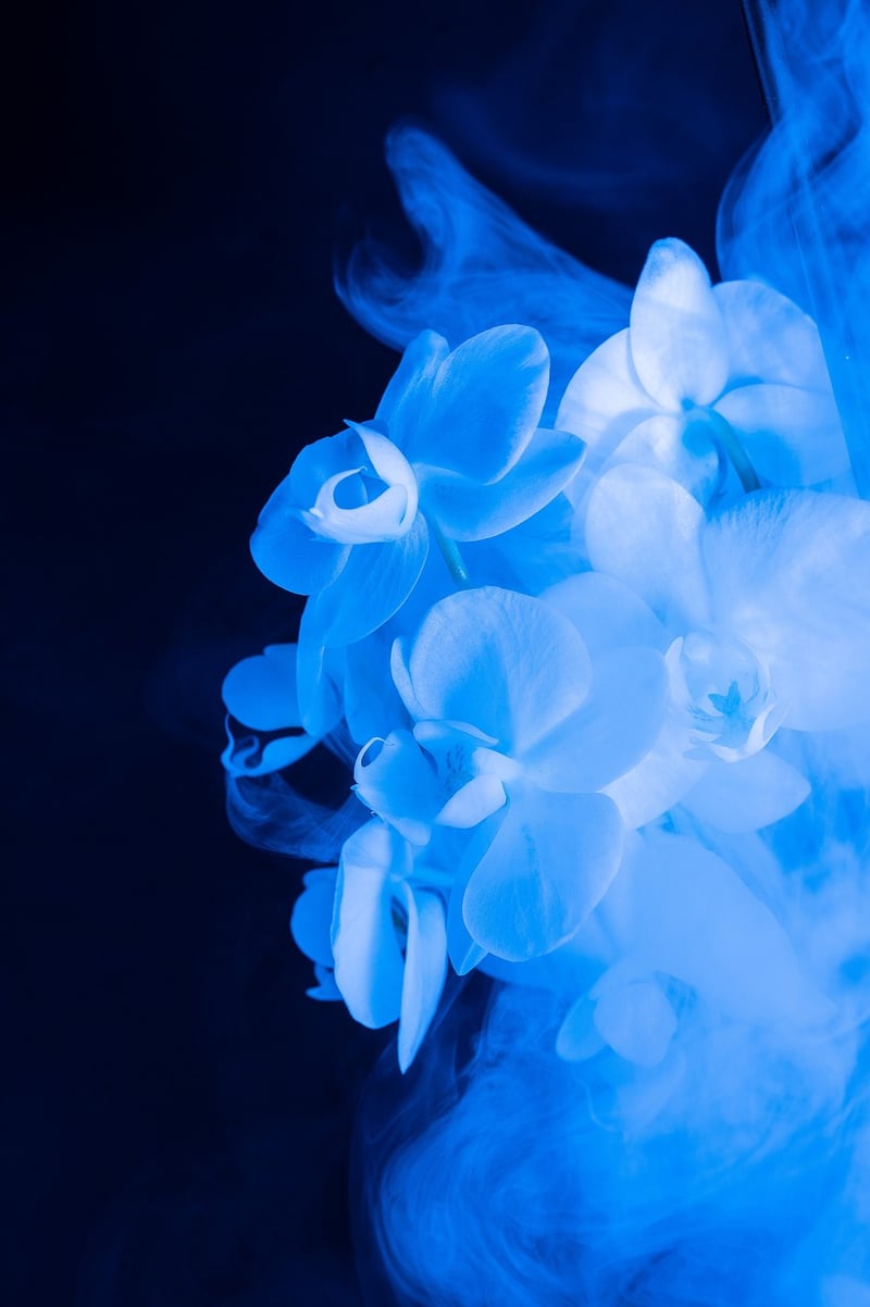Fantasy Flowers