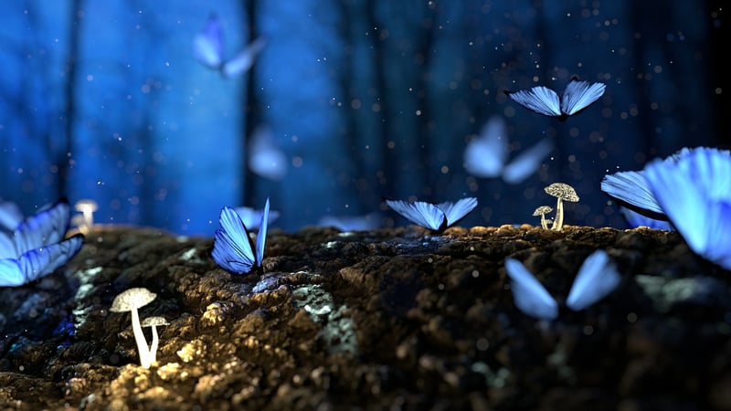 Enchanted Garden with Spellbound Shrubs