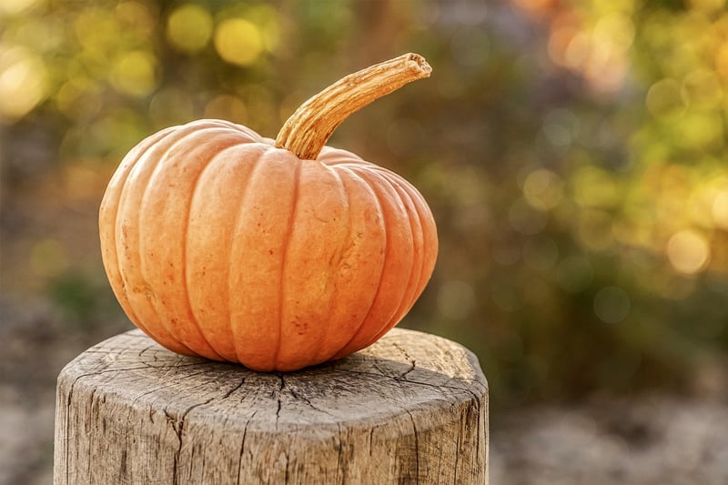 Witchcraft Pumpkins